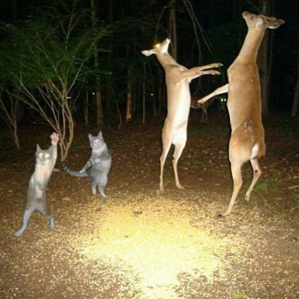 What Is Going On Here? (30 pics)