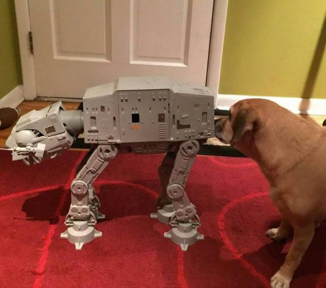 Strange Finds And Situations (20 pics)