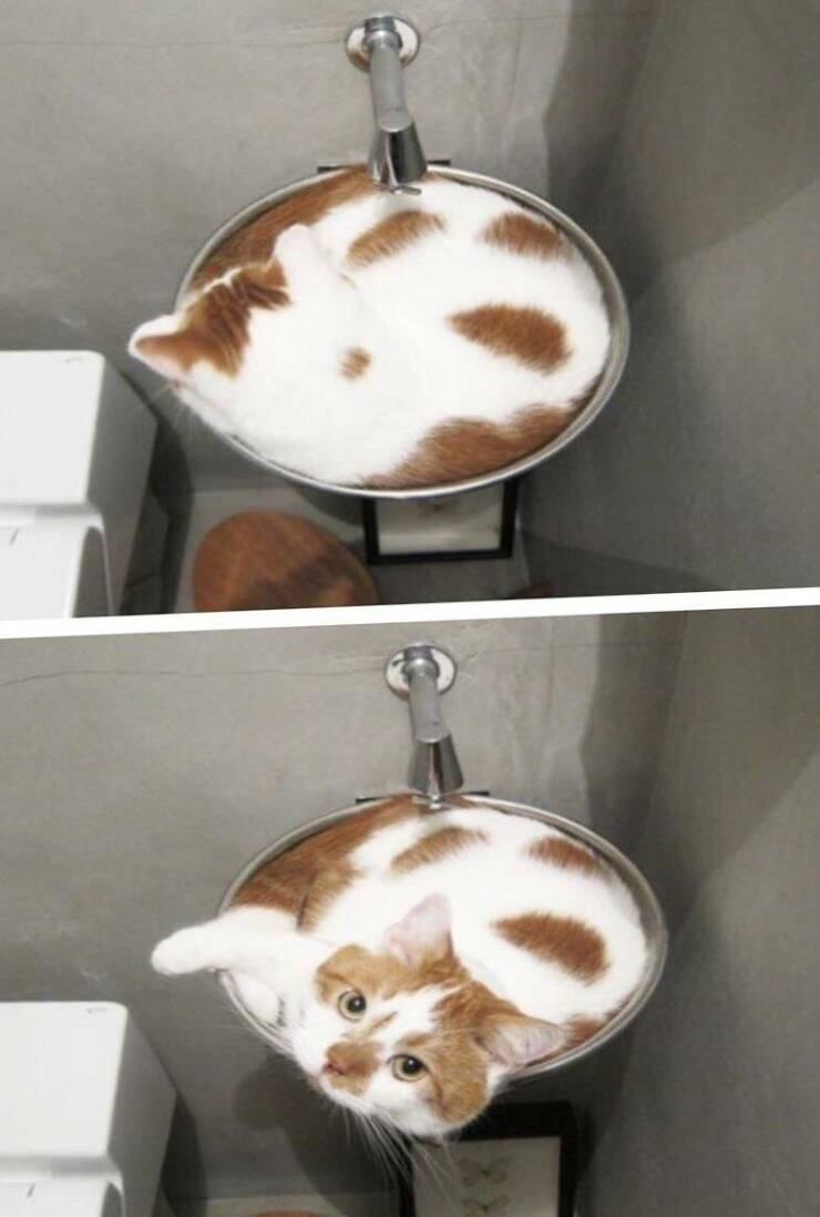 Daily Pictures. Part 2 (74 pics)