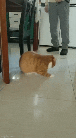 Acid GIFs, July 14 (25 gifs)