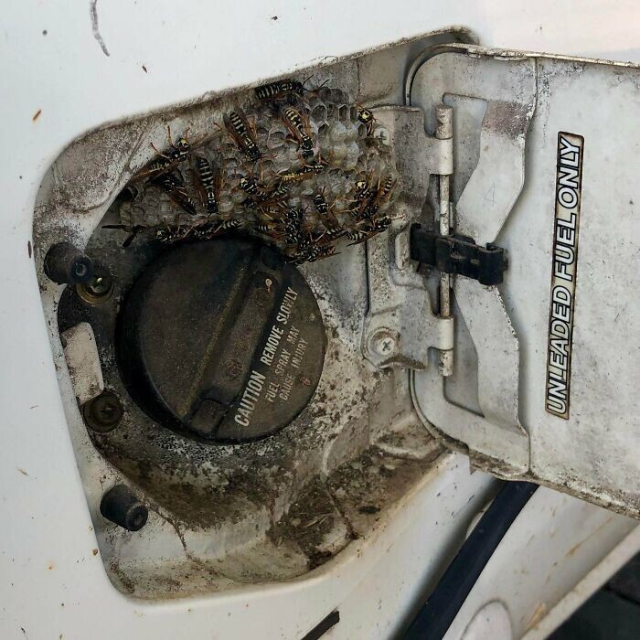 Failures On The Road (23 pics)
