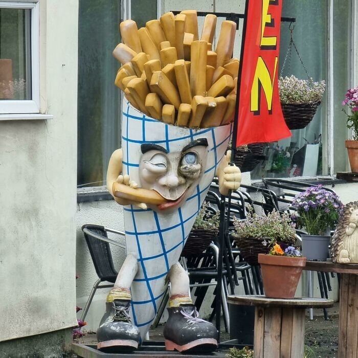 Odd Finds And Designs (25 pics)