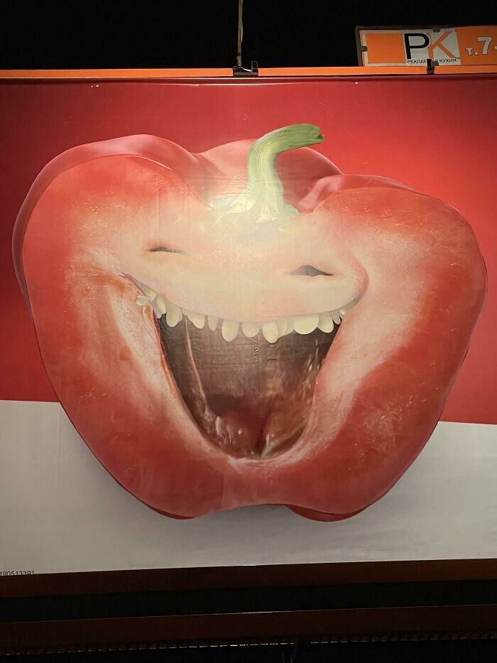 Odd Finds And Designs (25 pics)