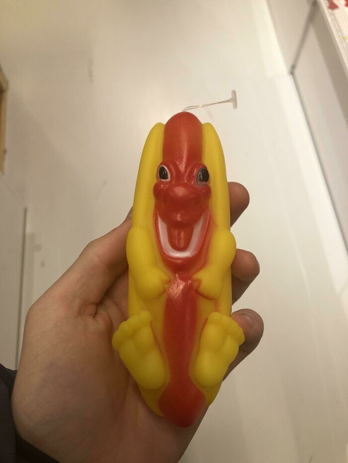 Odd Finds And Designs (25 pics)