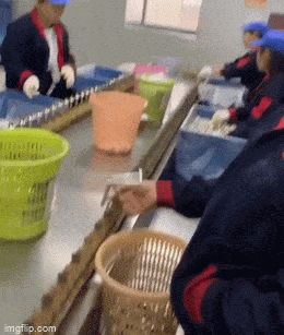 Acid GIFs, July 17 (25 gifs)