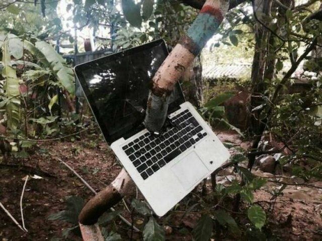 What Is Going On Here? (25 pics)