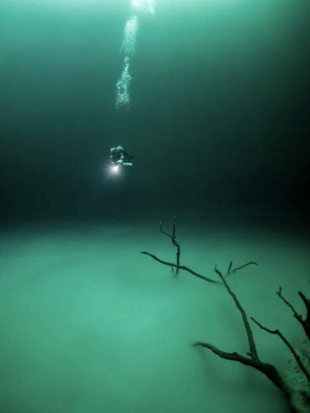 Unusual Finds And Situations (15 pics)