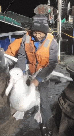 Acid GIFs, July 19 (25 gifs)