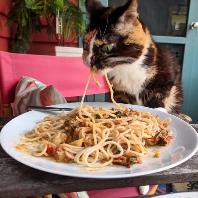 Very Brazen Animals (26 pics)