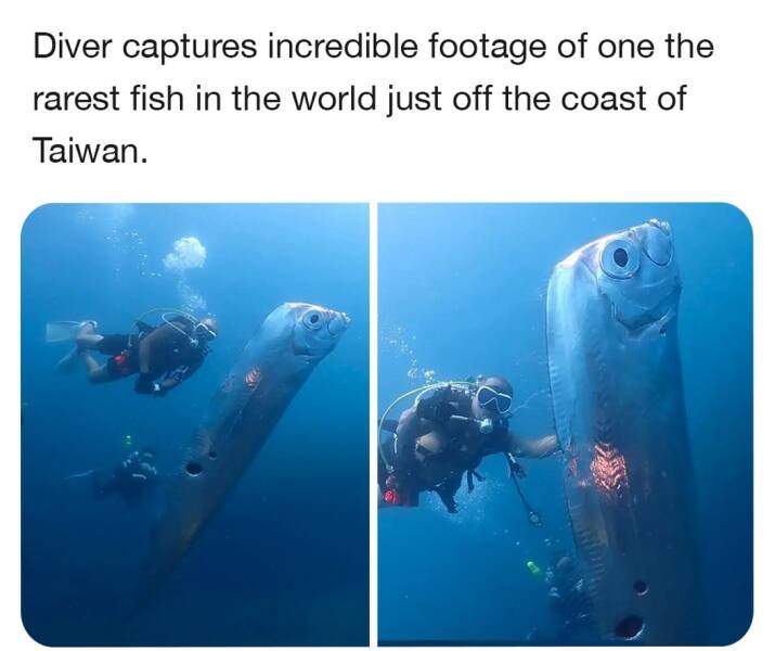 Daily Pictures. Part 1 (71 pics)