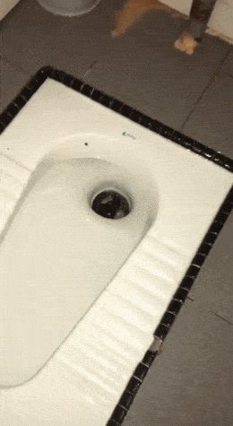 Acid GIFs, July 24 (25 gifs)