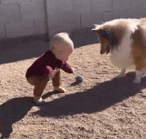 Acid GIFs, July 25 (25 gifs)