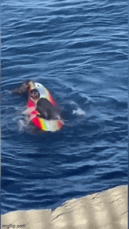 Acid GIFs, July 25 (25 gifs)