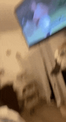 Acid GIFs, July 25 (25 gifs)