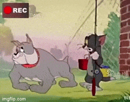 Acid GIFs, July 25 (25 gifs)