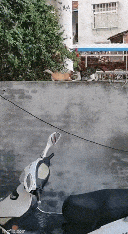 Acid GIFs, July 25 (25 gifs)