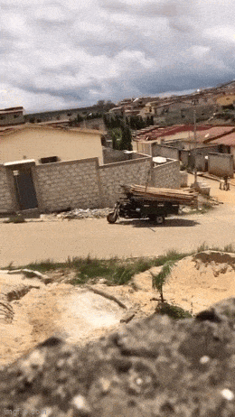 Acid GIFs, July 25 (25 gifs)
