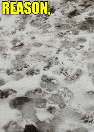 Acid GIFs, July 25 (25 gifs)