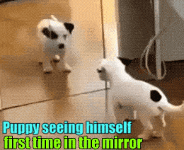 Acid GIFs, July 25 (25 gifs)