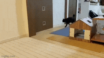 Acid GIFs, July 25 (25 gifs)