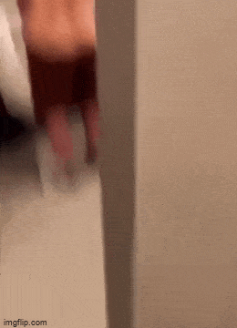 Acid GIFs, July 25 (25 gifs)