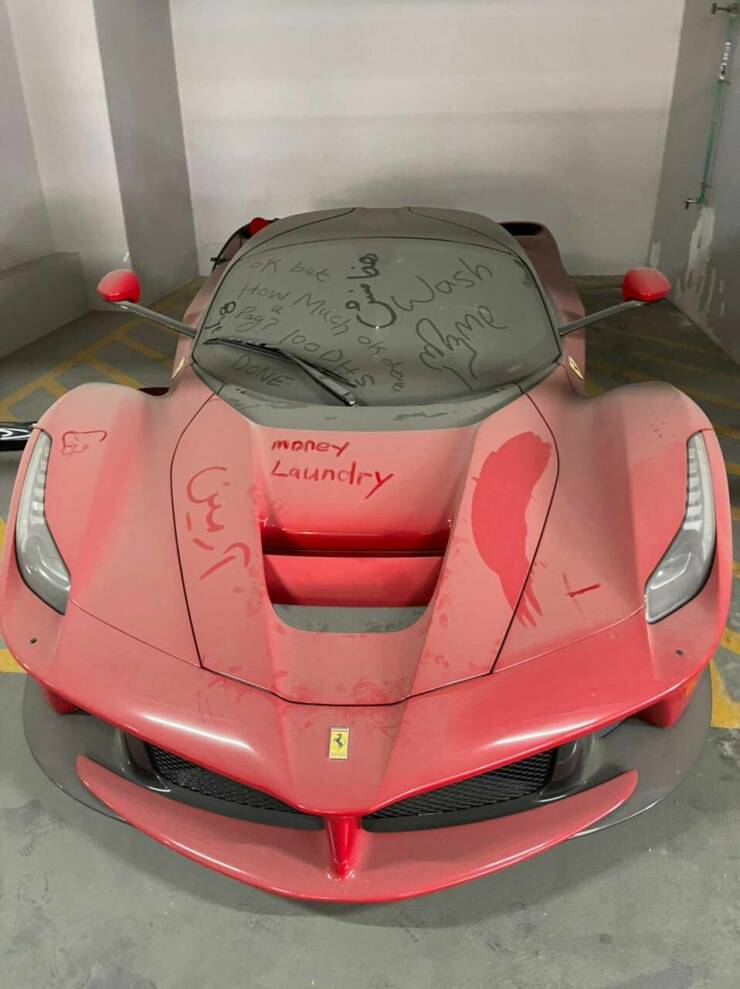 Daily Pictures. Part 1 (74 pics)