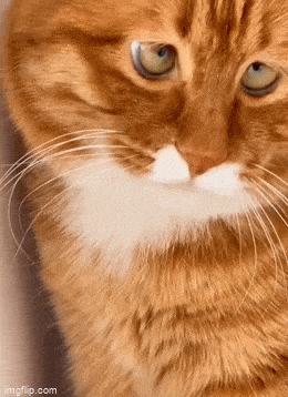 Acid GIFs, July 27 (25 gifs)