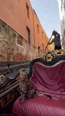 Acid GIFs, July 27 (25 gifs)
