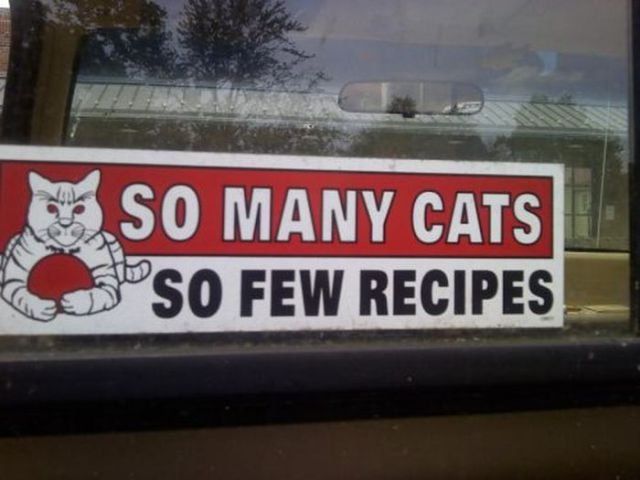 Funny Signs (32 pics)