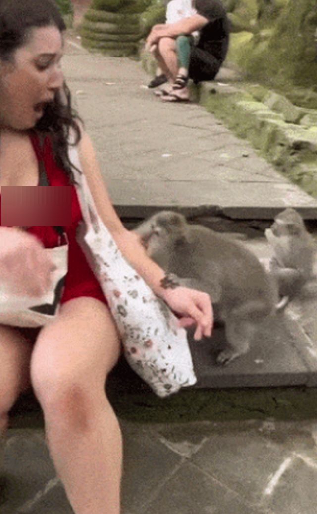 Acid GIFs, July 28 (25 gifs)