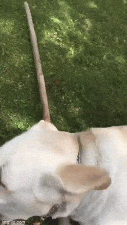 Acid GIFs, August 1 (25 gifs)