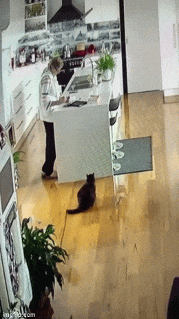 Acid GIFs, August 1 (25 gifs)