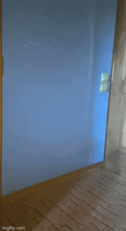 Acid GIFs, August 1 (25 gifs)