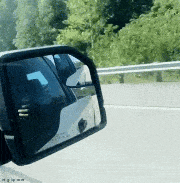 Acid GIFs, August 1 (25 gifs)