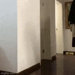 Acid GIFs, August 1 (25 gifs)