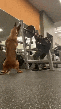 Acid GIFs, August 1 (25 gifs)
