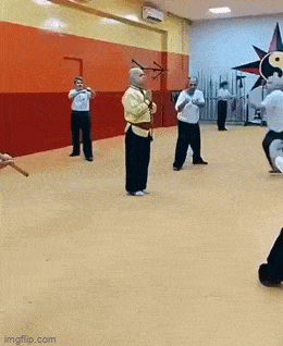 Acid GIFs, August 1 (25 gifs)