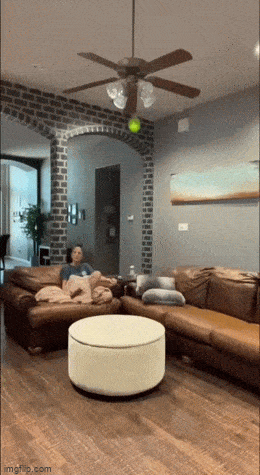Acid GIFs, August 1 (25 gifs)