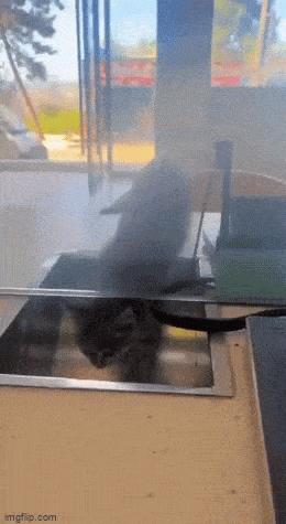 Acid GIFs, August 1 (25 gifs)