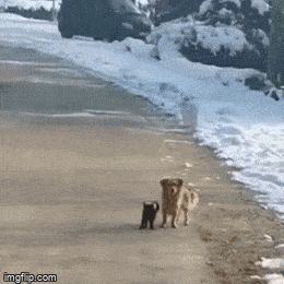 Acid GIFs, August 1 (25 gifs)