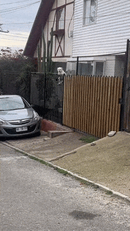 Acid GIFs, August 1 (25 gifs)