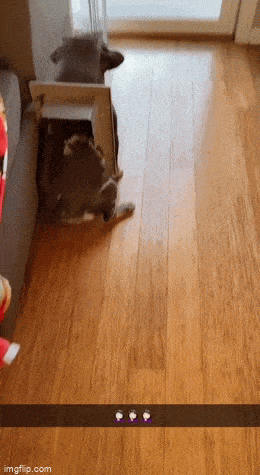 Acid GIFs, August 1 (25 gifs)