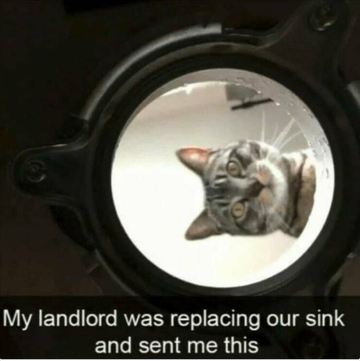 Daily Pictures. Part 2 (74 pics)