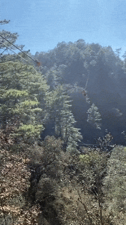 Acid GIFs, August 2 (25 gifs)