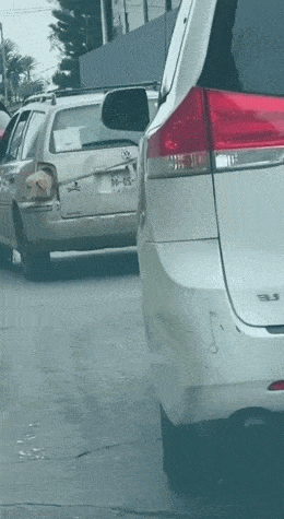 Acid GIFs, August 2 (25 gifs)