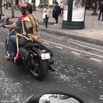 Acid GIFs, August 2 (25 gifs)