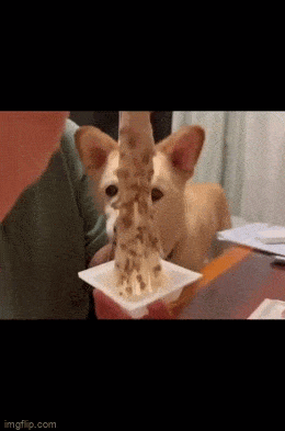 Acid GIFs, August 2 (25 gifs)