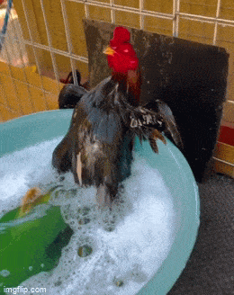 Acid GIFs, August 2 (25 gifs)