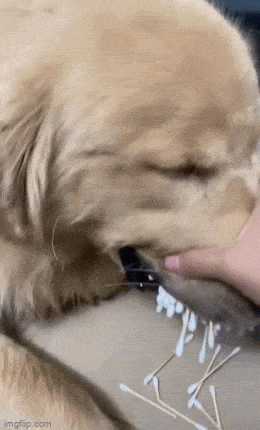 Acid GIFs, August 2 (25 gifs)