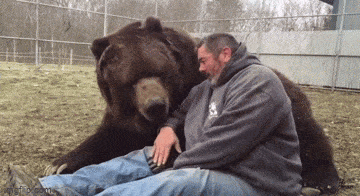 Acid GIFs, August 2 (25 gifs)